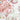 Gigi Rose and Zinnia Rose Collection