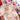 HELLO 2025: ALL ABOUT OUR NEWEST BRIGHT FLORAL COLLECTION