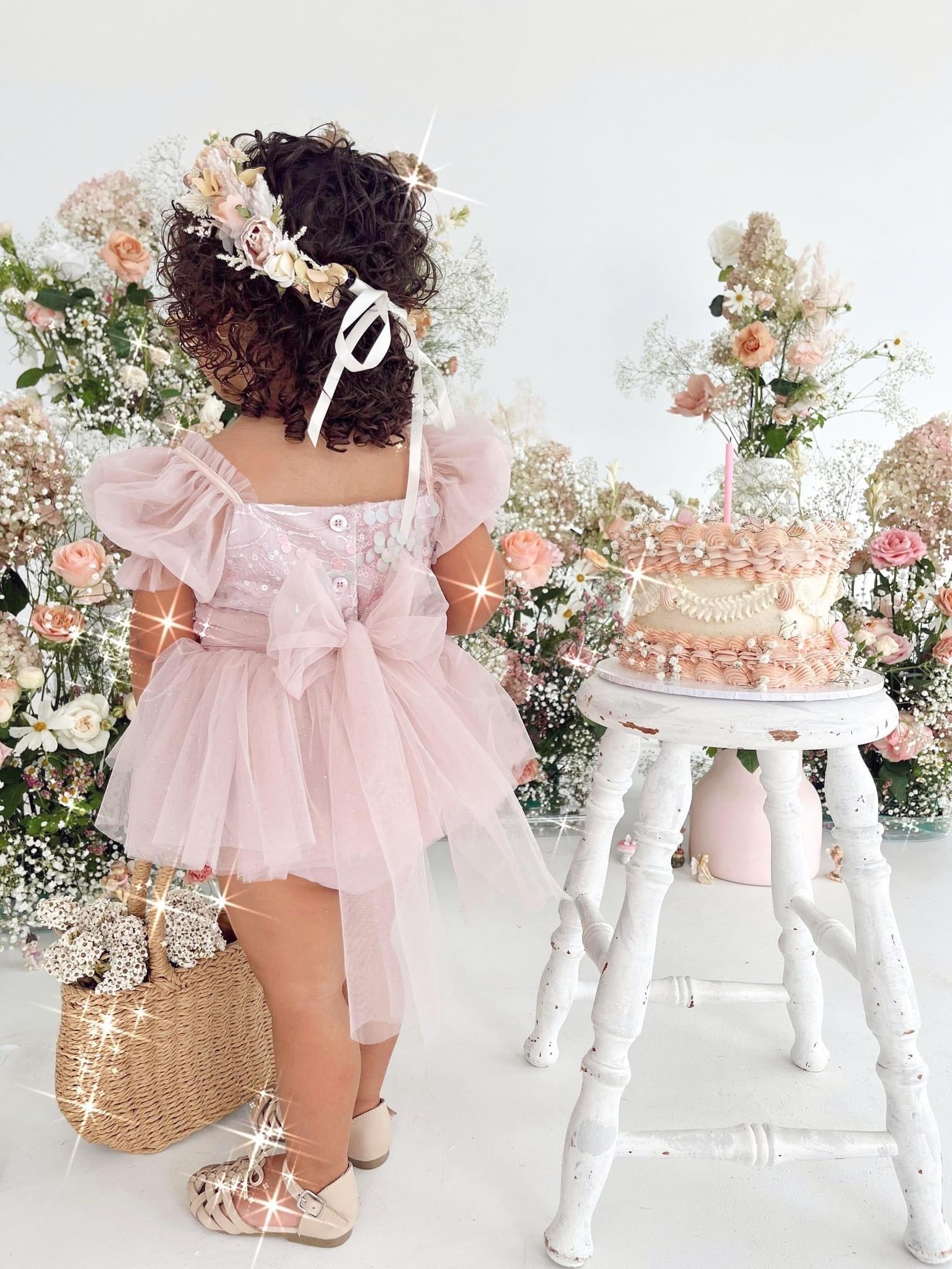 Baby Girl Dresses | Newborn Baby Girl Clothes Arabella & Rose Baby Girl Dresses | Newborn Baby Girl Clothes Arabella & Rose