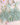Forest Gren Flat Lay