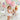 COTTON CANDY COLLECTION