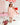 Strawberry Shortcake Collection
