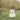 Girls Giselle White Lace Back Flower Girl Dress