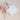 276030838 660591161681737 6149141763270197542 N