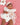 Strawberry Shortcake Collection