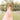 Dusty Rose Swan Lace Back Dress