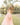 Dusty Rose Swan Lace Back Dress