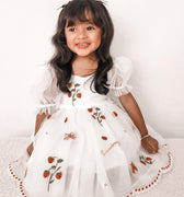 Strawberry Shortcake Collection