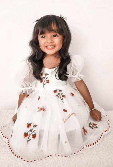 Strawberry Shortcake Collection