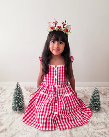 Picnic Red Gingham Girls Dress