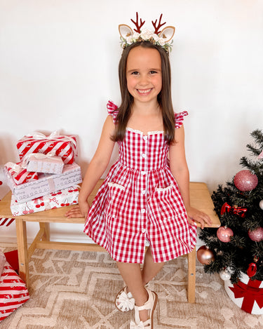 Picnic Red Gingham Girls Dress