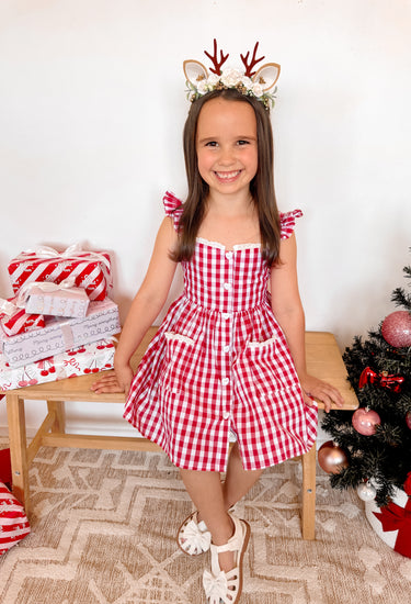 Picnic Red Gingham Girls Dress