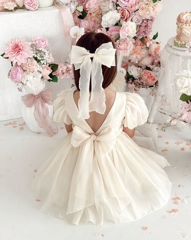 Alette Matte Cream Organza Flower Girl Dress
