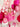 Robe de soirée rose fuchsia Tabitha pour fille
