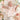 Swan Song Floral Pink Organza Baby Girl Romper