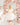 Princess Swan Floral Pink Organza Girls Party Dress