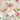 Swan Song Floral Pink Organza Baby Girl Romper
