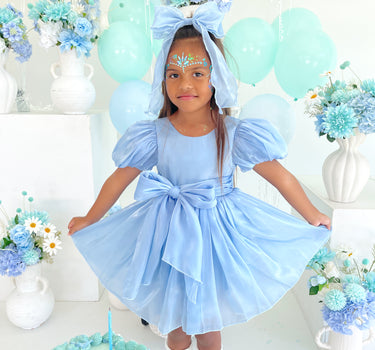Baby Girl Dresses & Toddler Dresses – Arabella & Rose