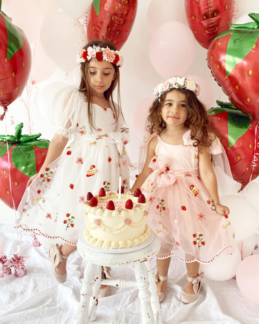 Strawberry Shortcake Collection